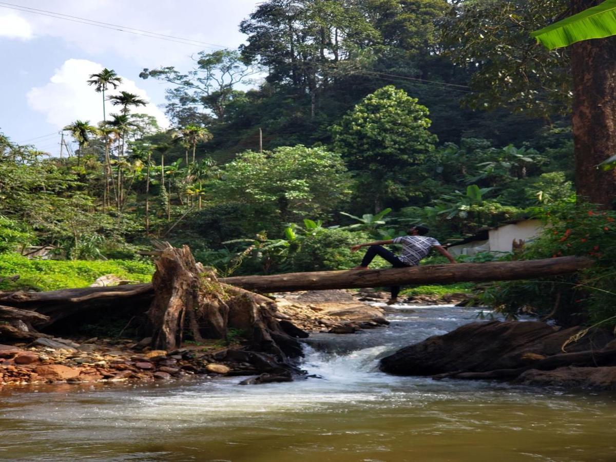 Qexperiences Coorg Hotel Madikeri Ngoại thất bức ảnh