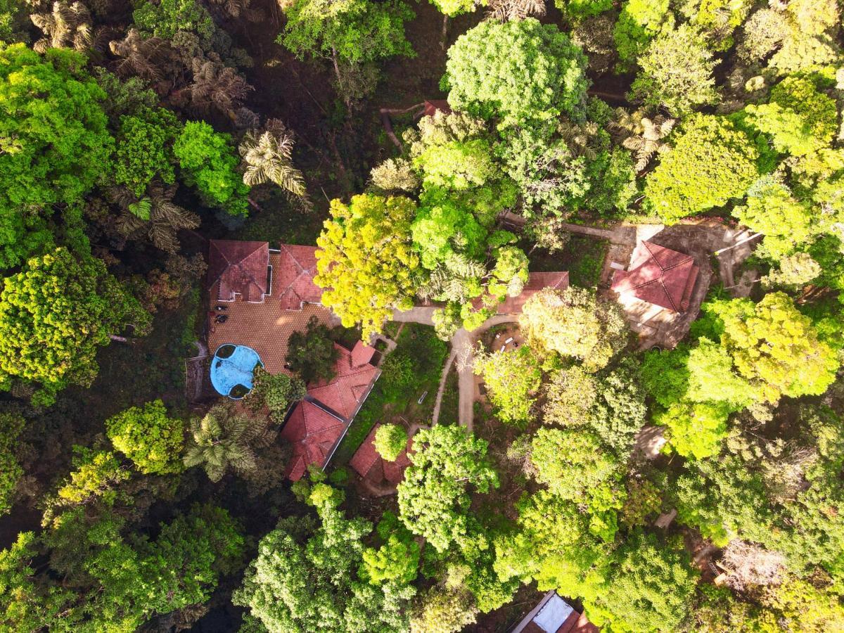 Qexperiences Coorg Hotel Madikeri Ngoại thất bức ảnh
